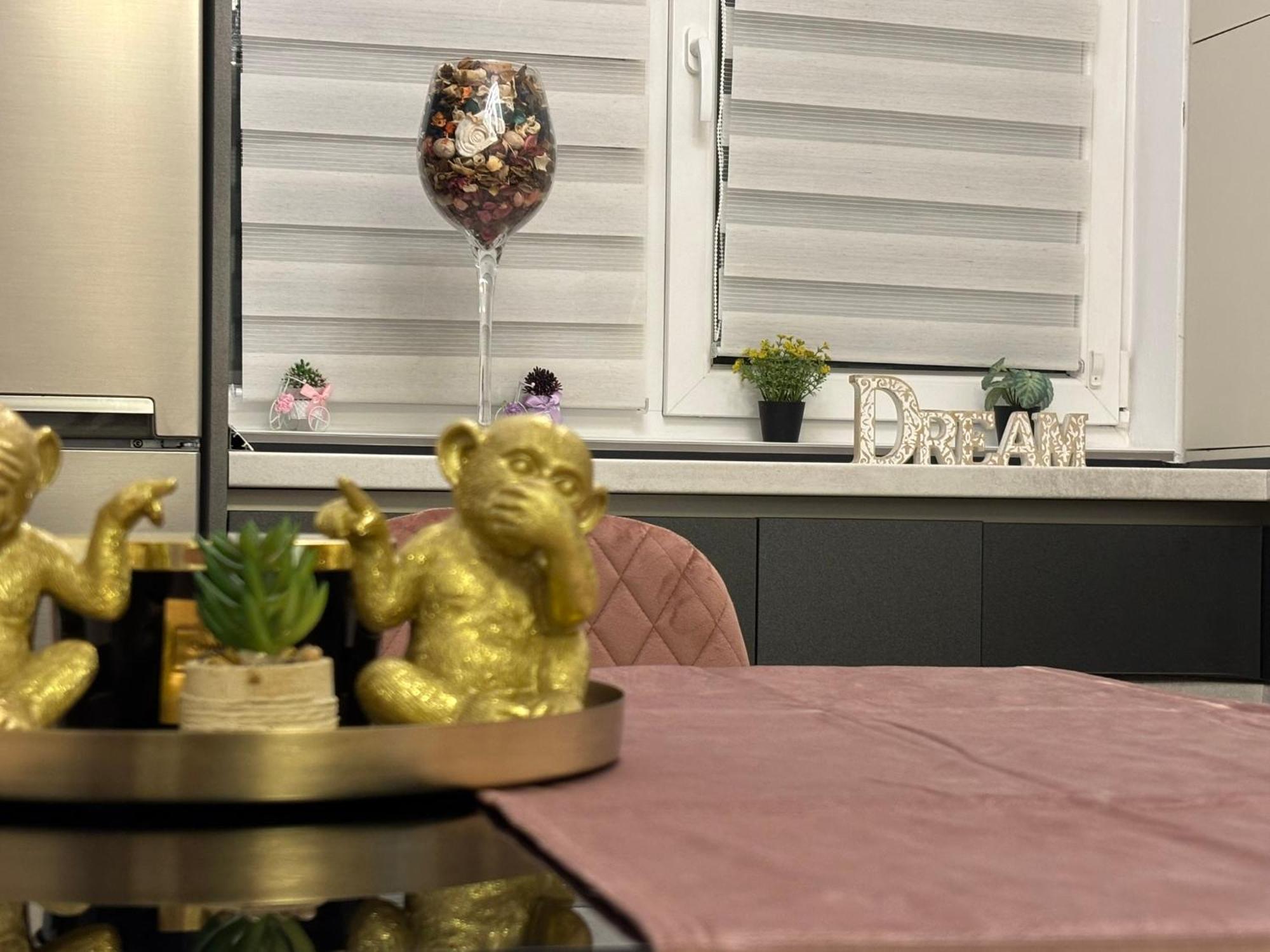 Bistriţa Dream Apartament מראה חיצוני תמונה